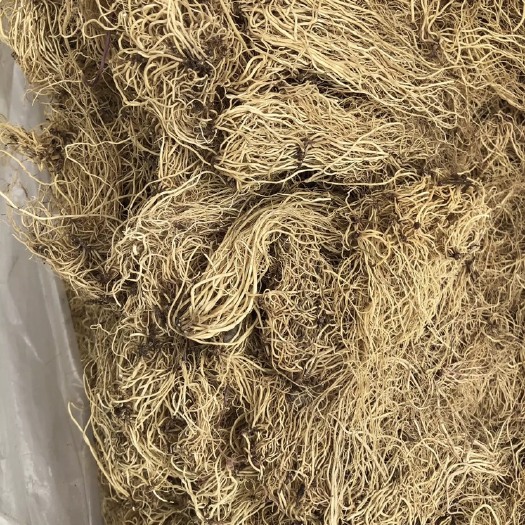 鄄城县【舜波中药材】辽细辛 新货 水洗 量大从优