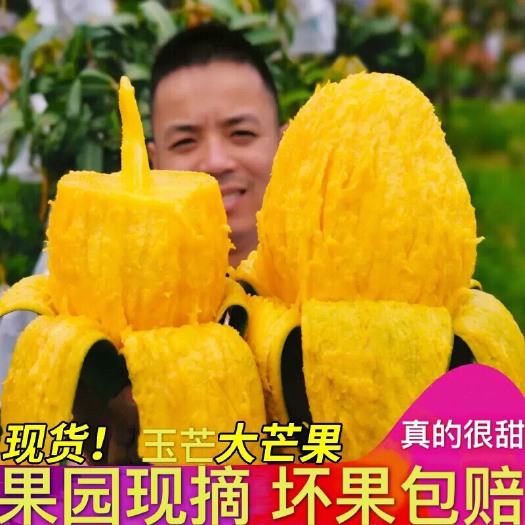 佛山凯特芒   (亏本价甜芒果) 大青芒芒果金煌芒新鲜水果玉芒一件代发