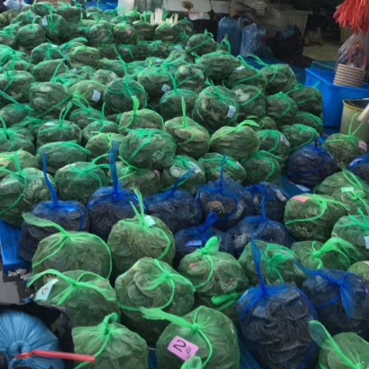 南京 固城湖精品大闸蟹4.0公