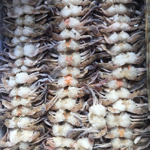 成都沙蟹 蟹排
