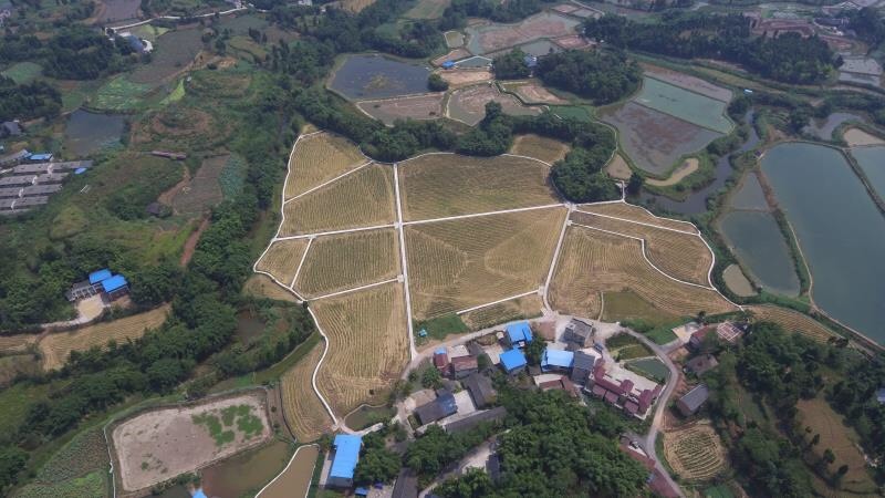 重庆市旱地 66+88亩两片高标准农田出租