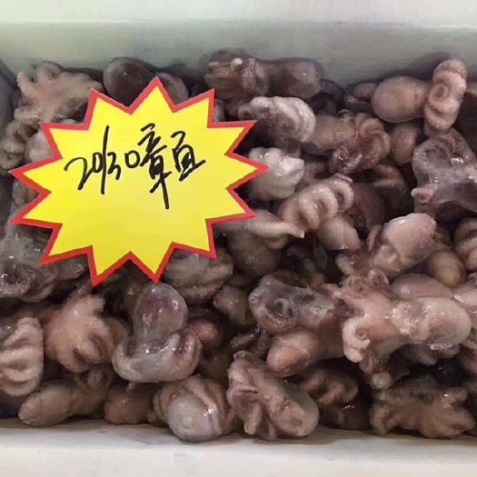 成都八爪鱼