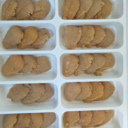 大连 大连黄海胆。盒胆 水盒。货源稳定