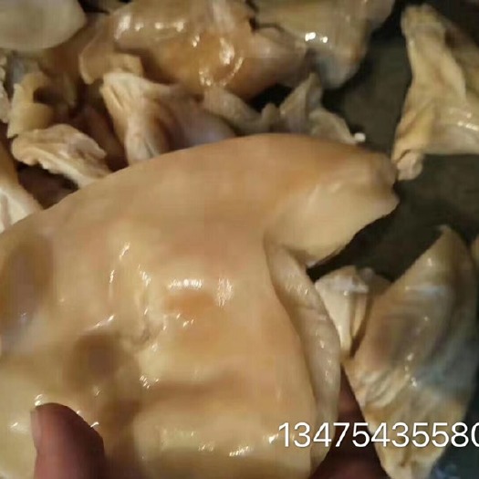 阳信县牛耳