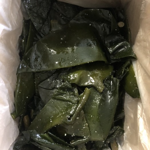 荣成市荣成海带