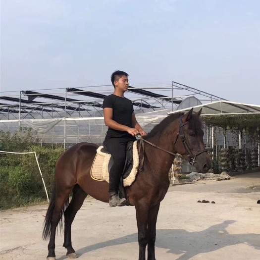 杭州 专业教学马
