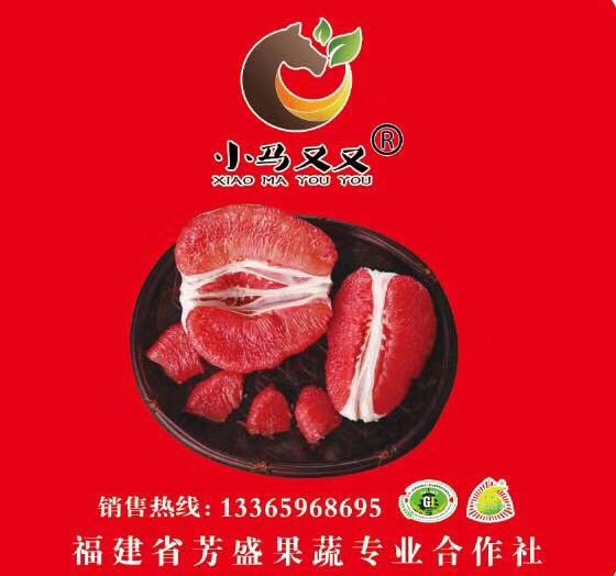 沈阳 红心蜜柚，三红蜜柚，黄金蜜柚，白心蜜柚批发