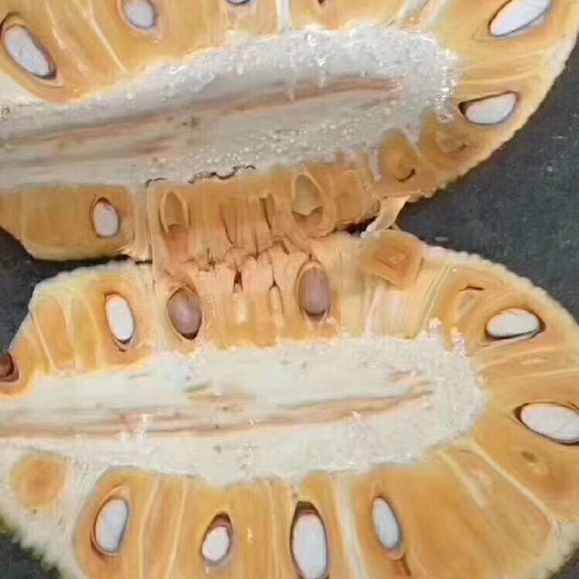 田东县 越南红肉菠萝蜜