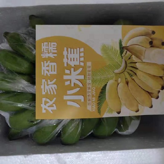 南宁 小米蕉广西网红小米蕉九斤当季新鲜水果