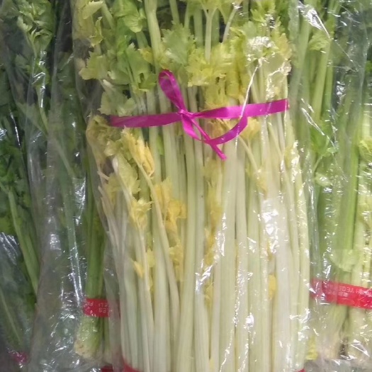 马家沟芹菜 50一60 0.5斤以下 露天种植