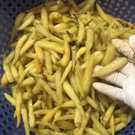 柳州小米椒 腌制白米椒
