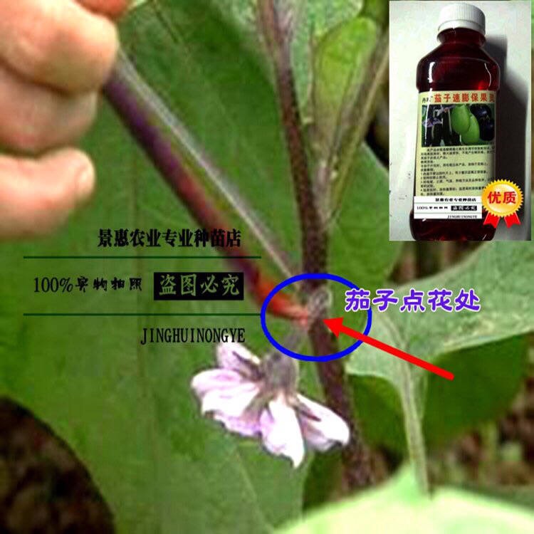 茄子点花剂茄子点花座果灵茄子蘸花药水长茄圆茄保果剂250ml