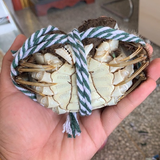 兴化市阳澄湖镇大闸蟹 2.5-3.0两 统货