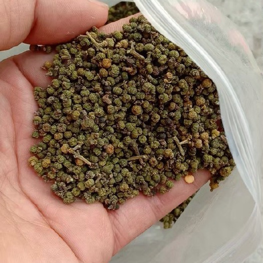九江吴茱萸