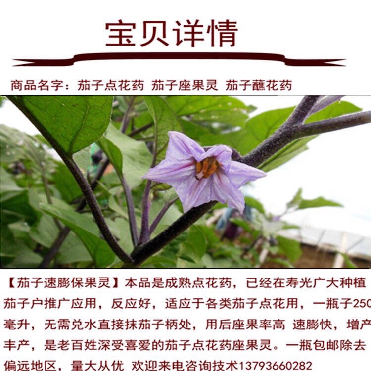 茄子点花剂茄子点花座果灵茄子蘸花药水长茄圆茄保果剂250ml