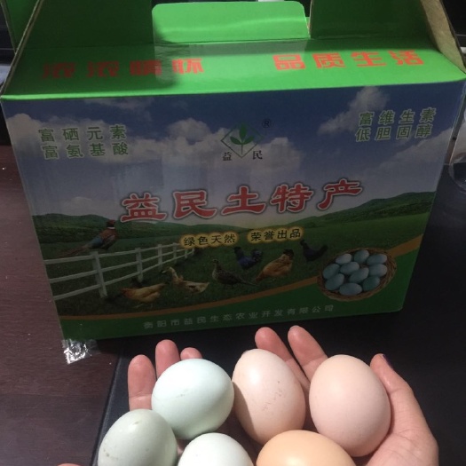 衡阳土鸡蛋 孵化 箱装