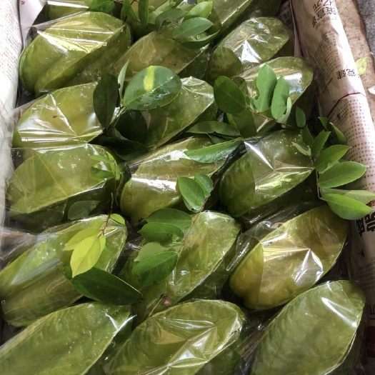 香蜜杨桃 3 - 4两