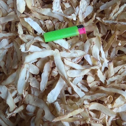 桂阳县湘玉竹  无硫玉竹选片