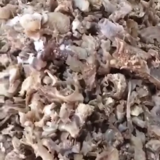 阳信县牛剔骨肉