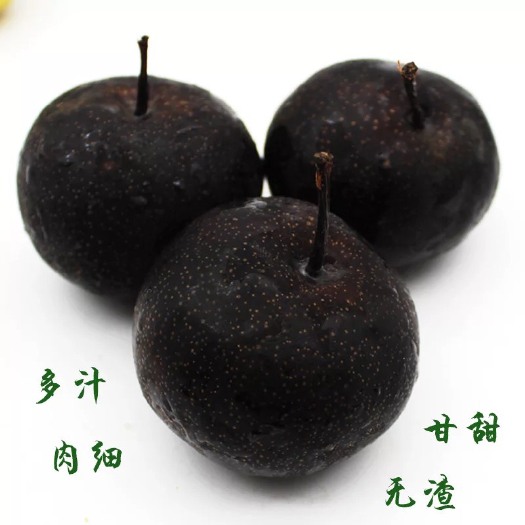 平邑县意大利黑梨苗 包品种，包成活，拥有多年的种植管理技术，基地直销