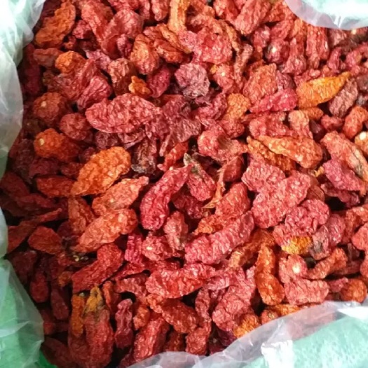 龙南市指天椒 特辣王
