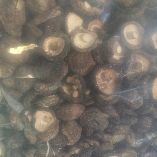 交口县 新品 产地直供3.5干香菇