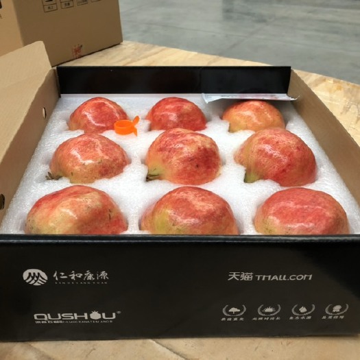 郑州 突尼斯软籽石榴大量供应