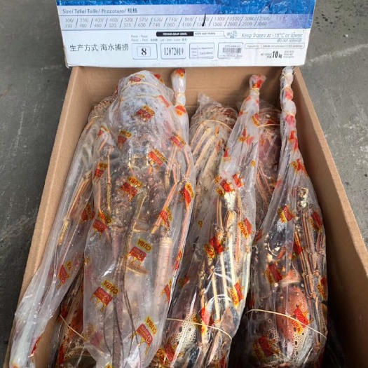 上海 皇冠古巴龙虾