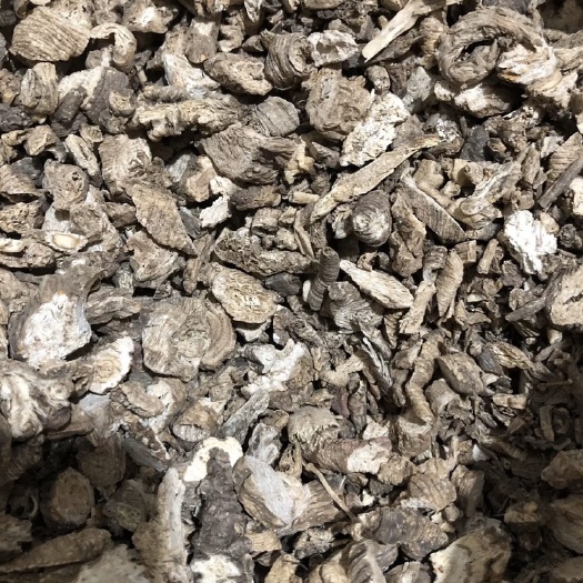 鄄城县 【以诚为信】南沙参 量大从优