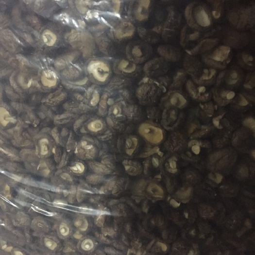 交口县 3.5干香菇 包邮 新货 产地直供