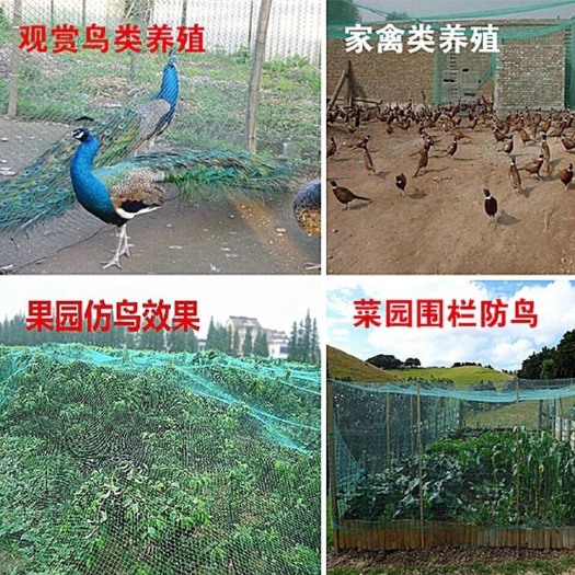沭阳县水产养殖网箱 养殖网