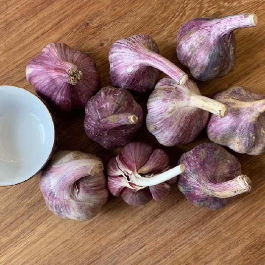 洱源县紫皮大蒜 大理紫皮丫蒜