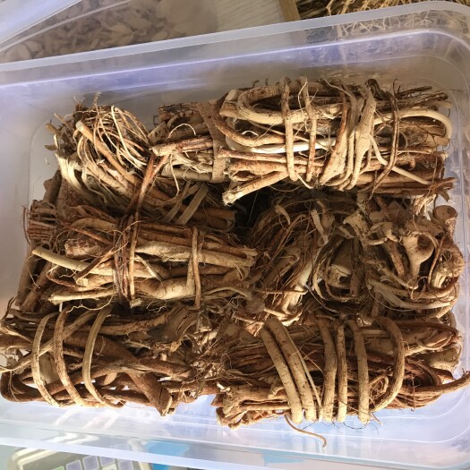 厦门五指毛桃