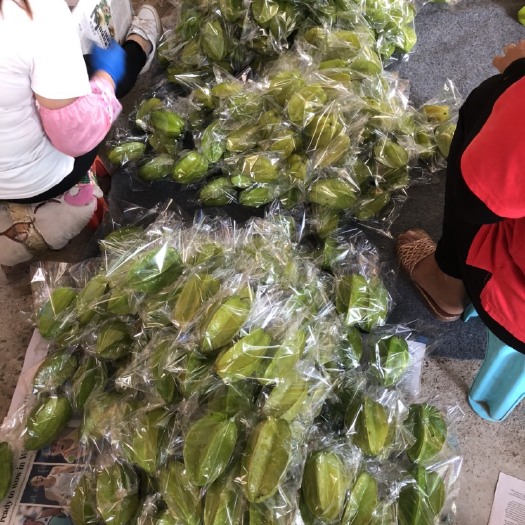 龙门县红杨桃 3 - 4两