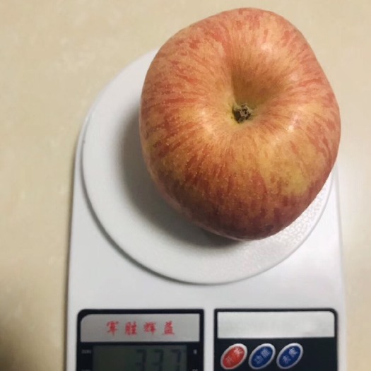 澄城县 陕西条纹红富士苹果