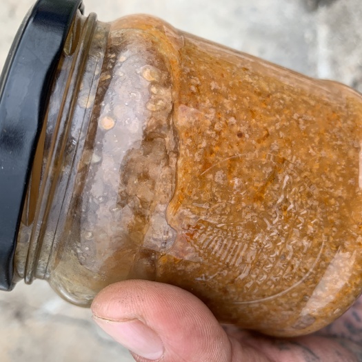 大连鲜虾酱 虾籽酱