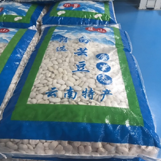 大理市白芸豆 云南特产、货源充足、质量优异