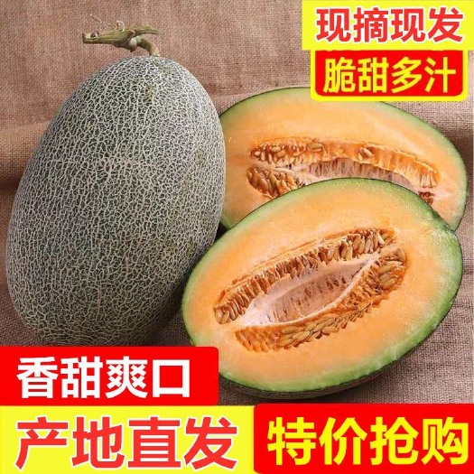 佛山哈密瓜新鲜孕妇水果现摘新疆薄皮脆甜西州蜜瓜全国包邮一件代发
