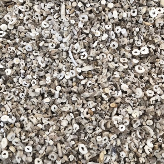 【舜波中药材】牡丹皮 有硫 量大从优 产地直供