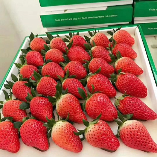 奶油草莓已经上市。正宗奶油草莓。尝鲜价来袭