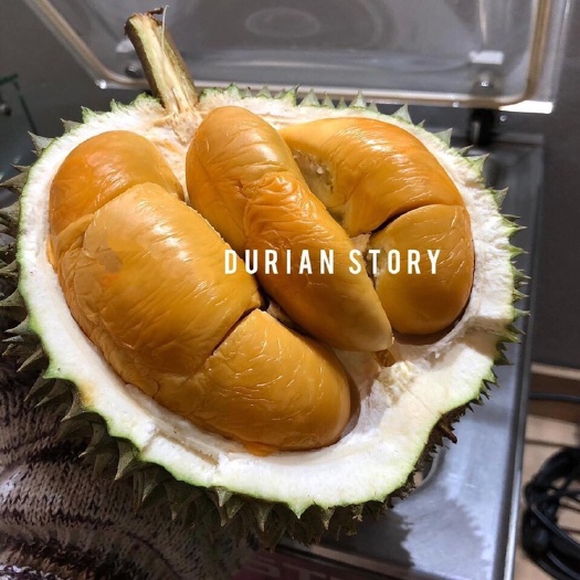 深圳 马来西亚D200黑刺榴莲