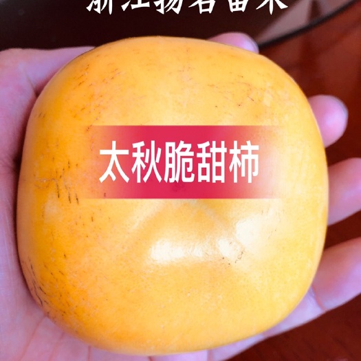  新品种太秋甜柿苗，脆甜柿苗