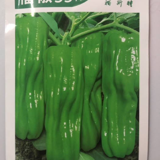 泡椒种子  福椒35 早熟 产量好 采收期长 微椒型薄皮泡椒