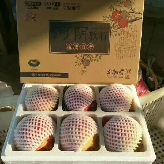 荥阳市云南石榴 0.6 - 0.8斤