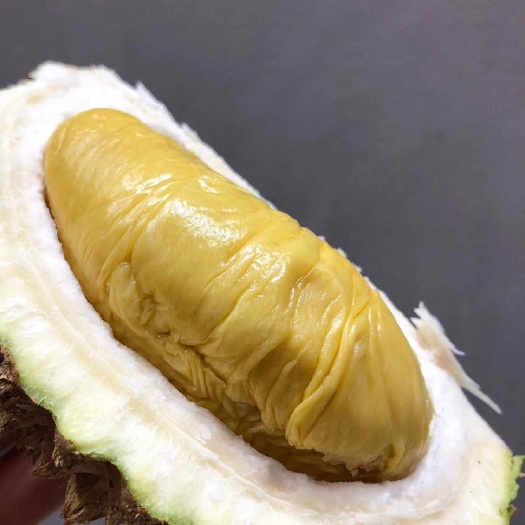 广州猫山王榴莲 马来西亚D197猫山王液氮带壳冷冻果
