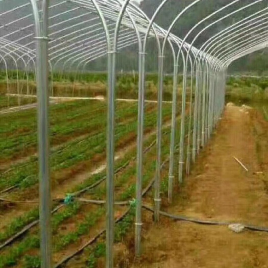 常州玻璃温室大棚 厂家直销，养殖大棚、种植大棚、单体连体大棚