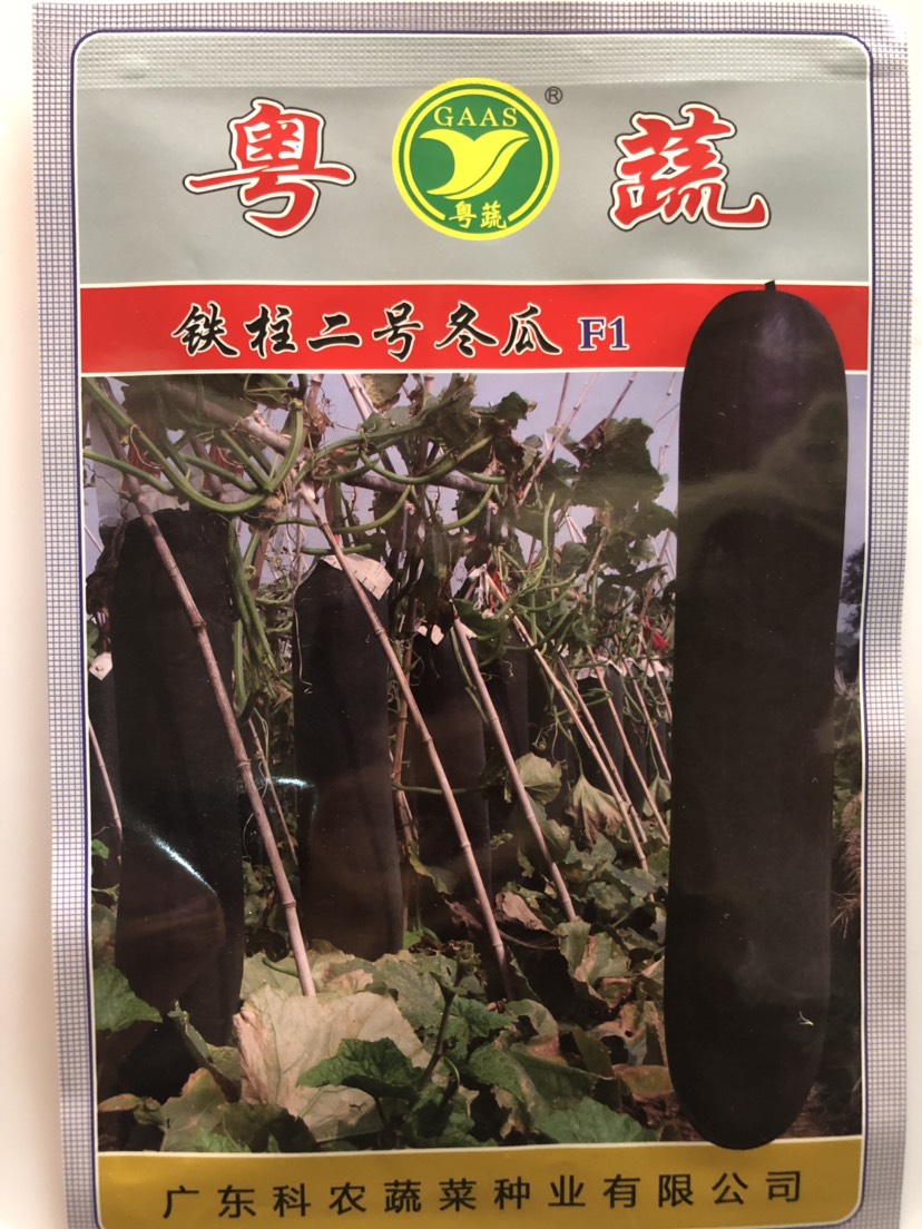 平远县广东省农科院铁柱二号杂交冬瓜种子 产量好 厚肉 致密 心腔小