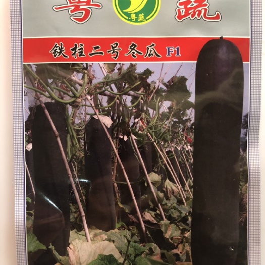 广东省农科院铁柱二号杂交冬瓜种子 产量好 厚肉 致密 心腔小