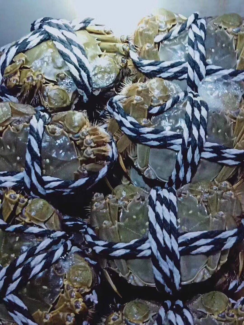  无为大闸蟹