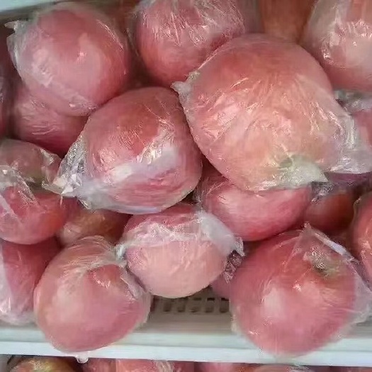 临猗县临猗苹果 品味鲜果滋味，让畅享淋漓尽致